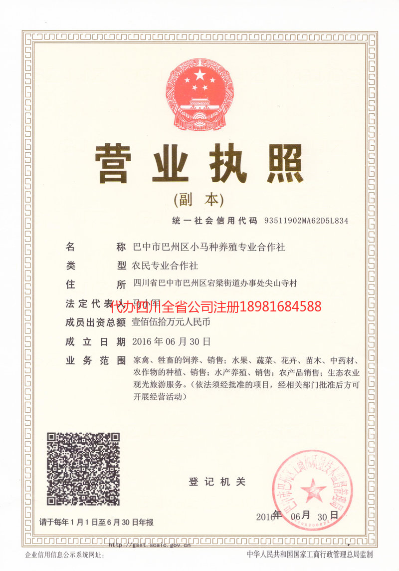 榆树榆树小马种养殖专业合作社